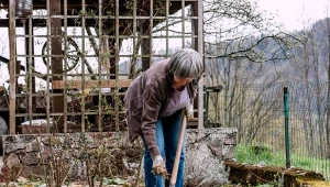 Przekopywanie ziemi jest popularnym zabiegiem wśród doświadczonych ogrodników.