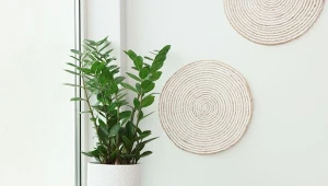 Przedstawiamy najlepsze domowe nawozy do kwiatów doniczkowych.