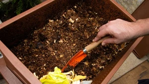 Chcesz przyspieszyć kompostowanie? Wypróbuj ten świetny sposób.