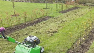 Po zimie trawnik wymaga odpowiedniej pielęgnacji. Zwłaszcza jeśli ma duże ubytki.