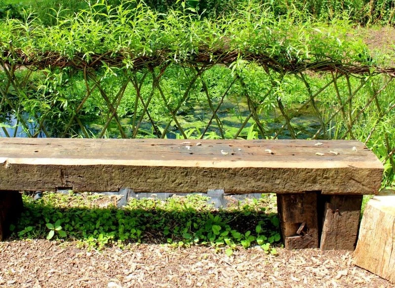 Możemy stworzyć płot z idealnie ułożonych gałęzi lub wypleść stale rosnącą, żywą ścianę, którą częściowo uformuje natura