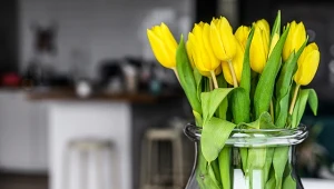 Jak często wymieniać wodę w kwiatach w wazonie? Najlepiej codziennie. Jednak nie wolno zapomnieć o jeszcze jednym szczególe.