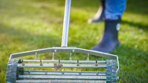 Czas na zabiegi, które przyspieszą regenerację trawnika po zimie.