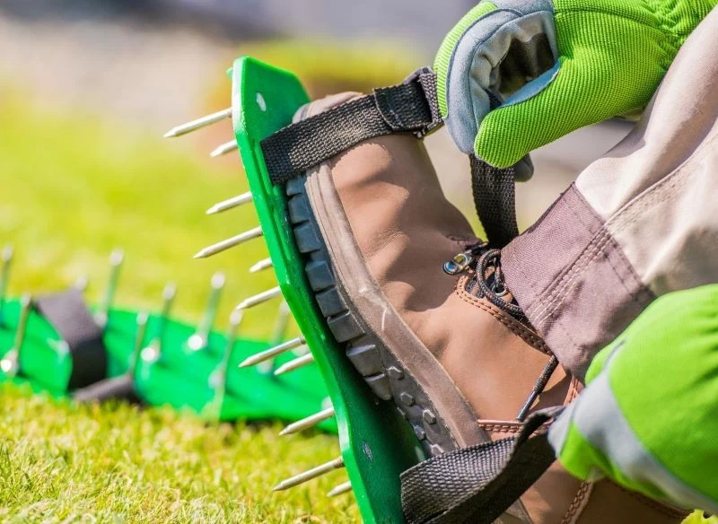 Do aeracji trawnika możemy wykorzystać nakładki na buty z kolcami