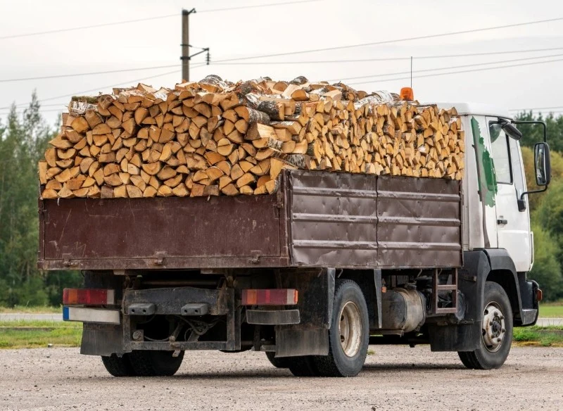Do cen drewna w Lasach Państwowych należy doliczyć koszty transportu