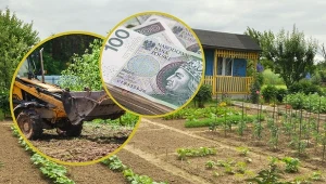 Dotacje dla działkowców w 2024 roku pozwalają zmodernizować części wspólne ogródków działkowych. Kto je przyznaje? Fot. CanvaPro