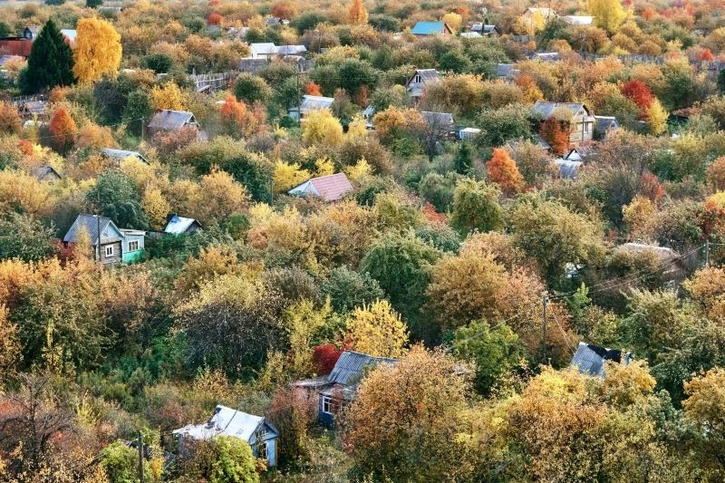 Ogródki działkowe mają się świetnie, ale wiele wymaga budowy nowej lub modernizacji starej infrastruktury