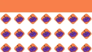 Ta zagadka optyczna sprawdzi twoją spostrzegawczość. Na rozwiązanie masz 10 sekund.