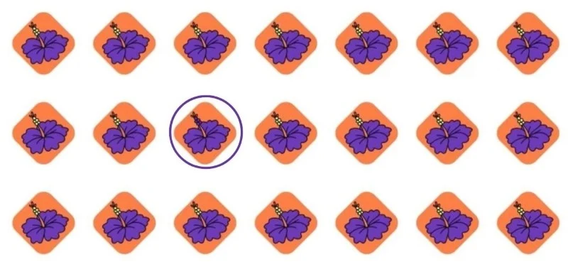 Poradziłeś sobie z naszą zagadką