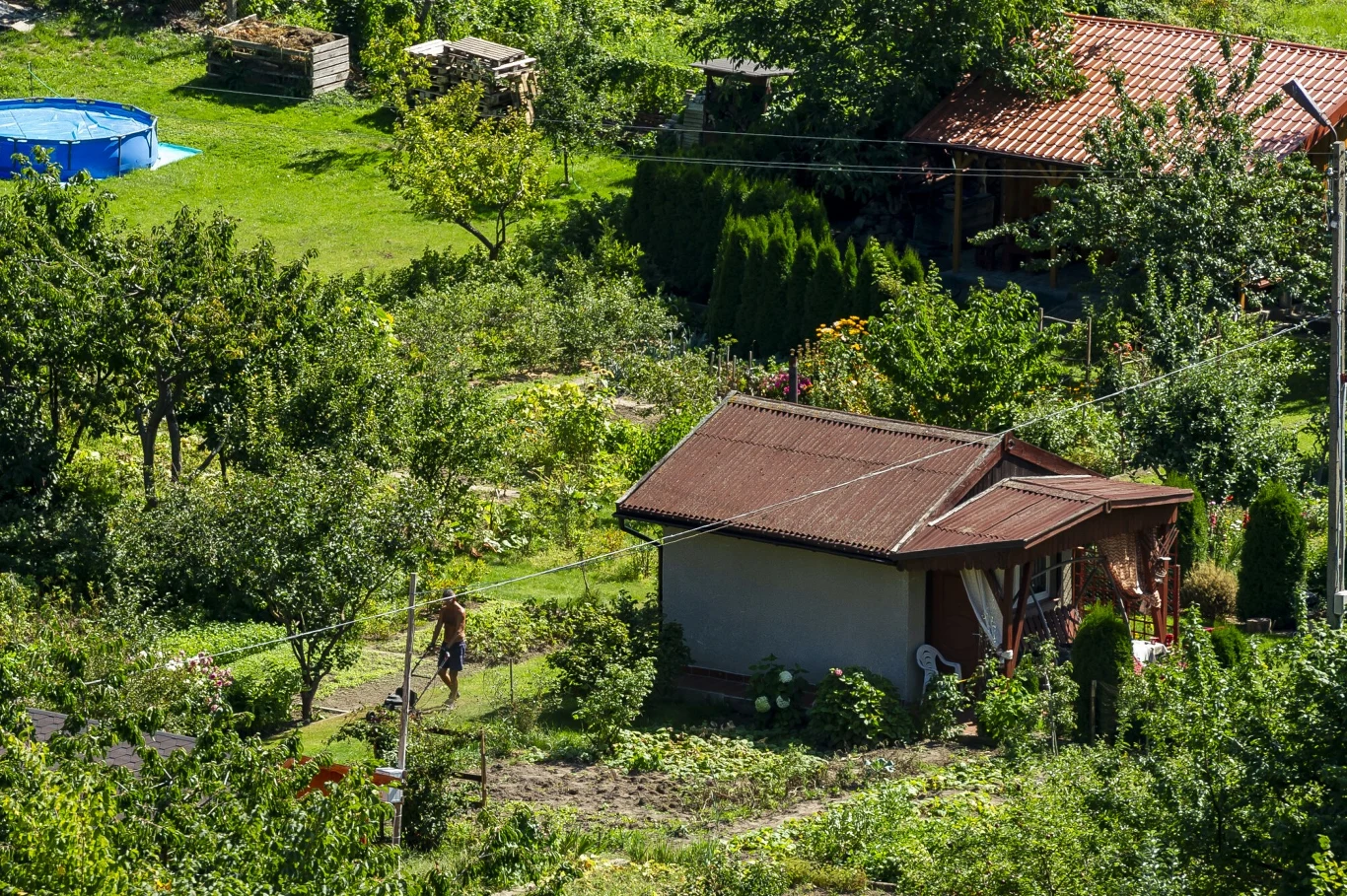 Na dynamicznie rozwijającym się rynku ROD w Polsce, decyzja o zakupie działki jest często podyktowana nie tylko ceną, ale również indywidualnymi pr...