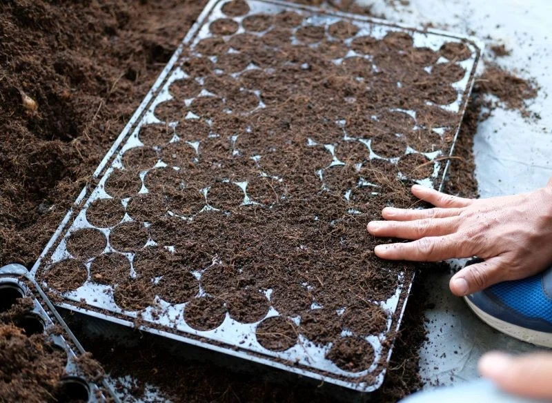 Dobór ziemi pod wysiew nasion nie może być dziełem przypadku