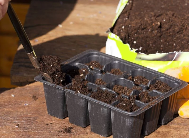 Najlepiej kupić gotową ziemię do wysiewów