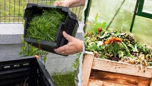 Darmowy kompostownik od gminy to sposób na ekologiczny recykling i jednocześnie recepta na niższe rachunki za wywóz śmieci. Fot.CanvaPrco