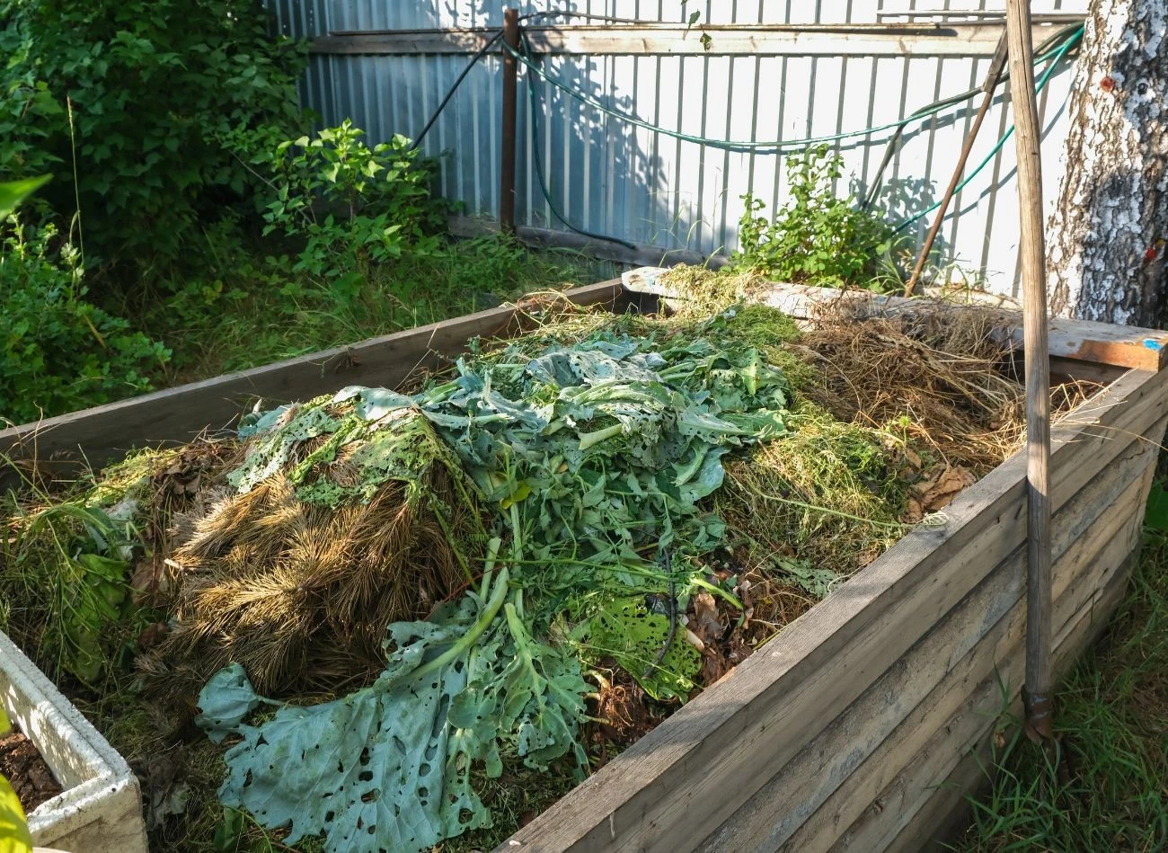 W wielu gminach mieszkańcy mogą dostać za darmo kompostownik