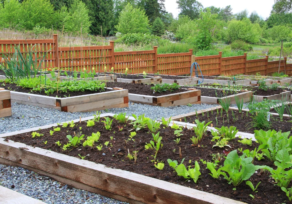 Do przygotowania skrzyni na warzywa niezbędne są odpowiednie materiały