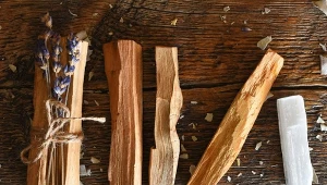 Wygląda, jak zwyczajny kawałek drewna, ale Palo Santo, święte drzewo, to jedno z najczystszych kadzideł o wielowiekowej tradycji.