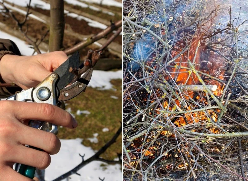 Spalanie gałęzi i innych odpadów po pracach w ogrodzie jest całkowicie zabronione