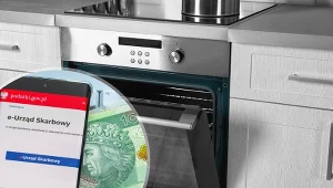 Dzięki tej uldze odliczysz od podatku nowy sprzęt AGD. Kto może skorzystać? Fot.123RF.com/ARKADIUSZ ZIOLEK/East News