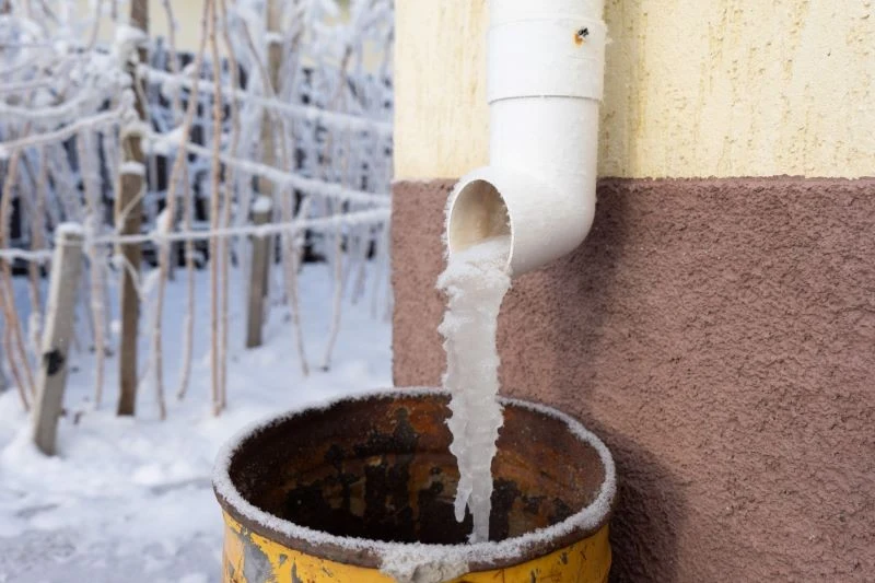 Zimą nie wolno podlewać roślin w trakcie mrozów