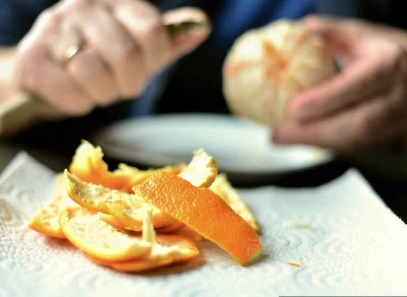 Skórki możemy zbierać przez całą zimę, wysuszyć i przechowywać do wiosny