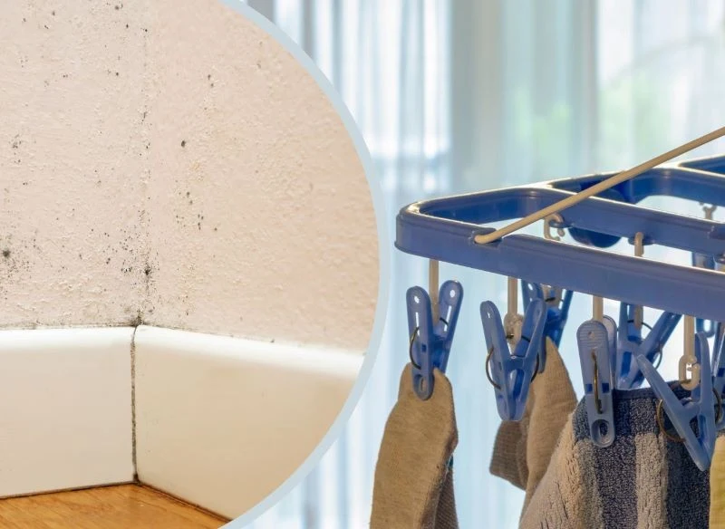 Suszenie prania bez odpowiedniej wentylacji pomieszczenia prowadzi do kumulacji wilgoci i rozwoju zalążków pleśni