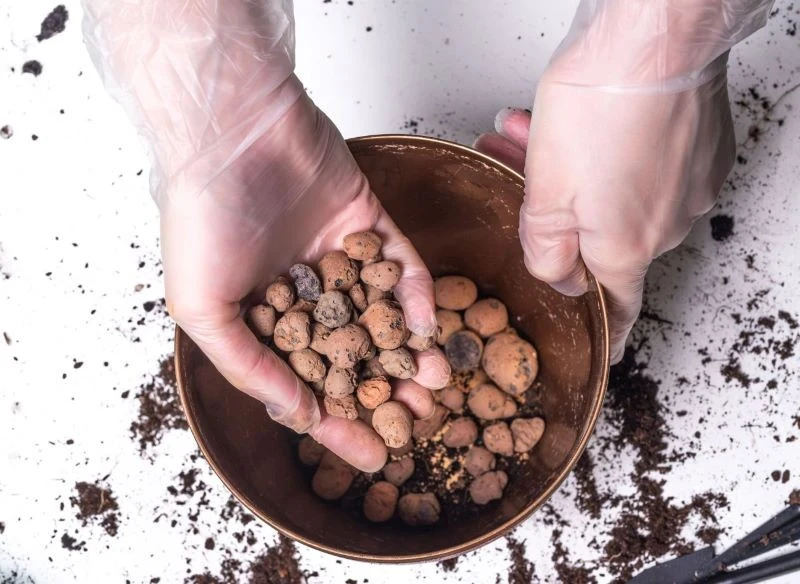 Wielkość keramzytu dobieramy pod kątem rozmiaru doniczki