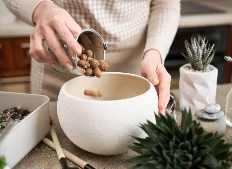 Keramzyt można wsypać na dno doniczki