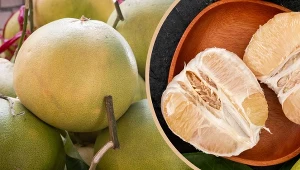 Pomelo to świetny sposób na to, żeby wzbogacić swoją dietę w potas i witaminę C. Możesz je także uprawiać i urozmaicić aranżację swojego domu. Możliwości jest bardzo dużo!