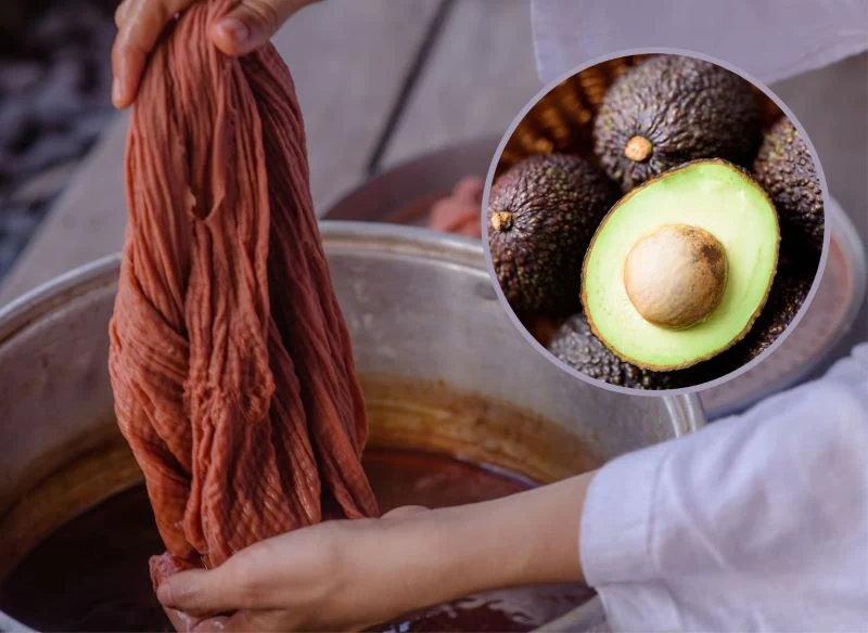 Wykorzystując pestki z awokado możesz zmienić kolor tkanin - uzyskany barwnik jest zaskakujący