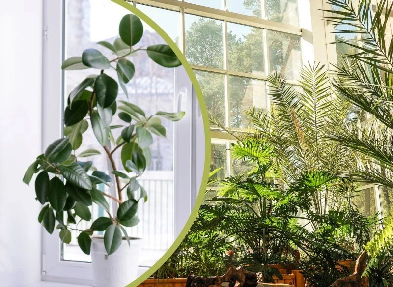 Kwiatowa kurtyna z magicznymi prześwitami zmieni wygląd okna i ożywi wnętrze