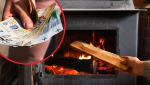 Palenie mokrym drewnem, to nie jest dobry pomysł. Dlaczego?