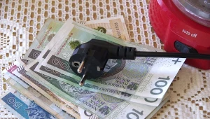 Dlatego rachunki za prąd są tak wysokie. Poznaj pożeraczy prądu w twoim domu./East News
