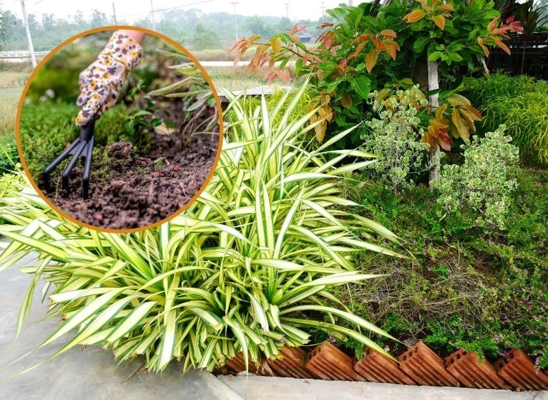 Własnymi rękami możemy stworzyć i świadomie pielęgnować ogród, odpowiadając na potrzeby roślin