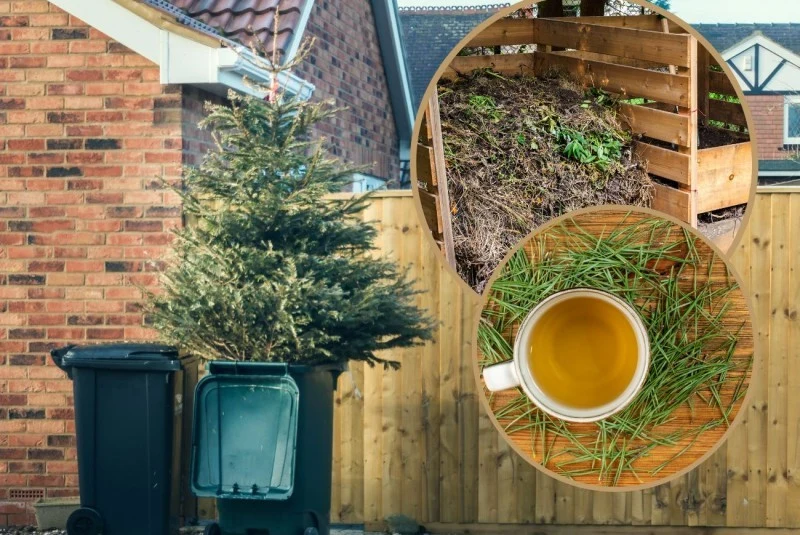 Wyrzucenie choinki to najprostsze rozwiązanie