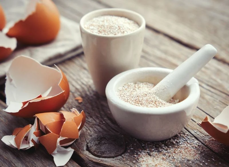 Zmielone skorupki jaj jako naturalne źródło wapnia doskonale zastępują syntetyczne suplementy diety