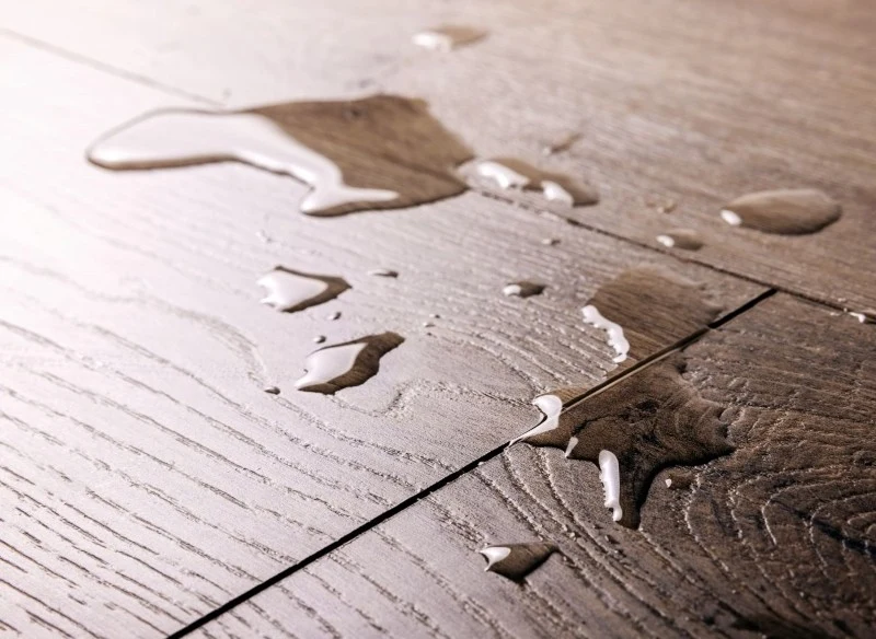 Bąble na panelach powstają pod wpływem kontaktu z wodą