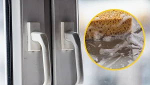 Na trwałe zabrudzenia nie wystarczy płyn, lepiej użyć pasty. Fot. CanvaPro