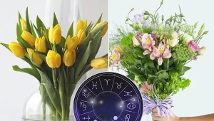 Poszczególnym znakom zodiaku przypisuje się konkretne cechy charakteru. Z kolei cechom tym odpowiadają poszczególne kwiaty.