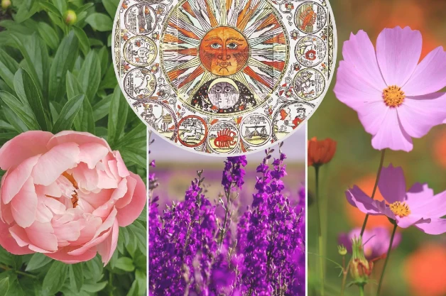 Od setek lat, w każdej kulturze roślinności przypisuje się magiczne właściwości i znaczenia