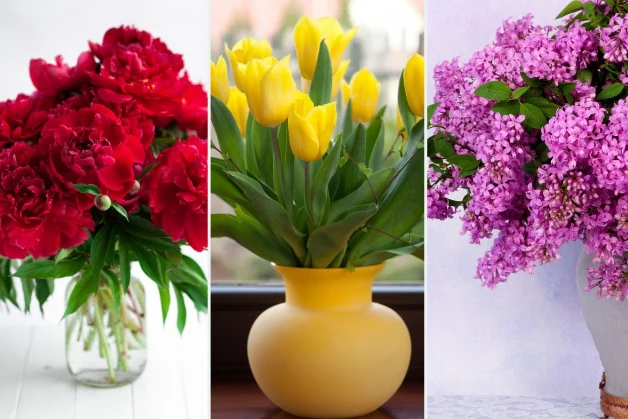 Co mówią na nasz temat kwiaty, które lubimy najbardziej