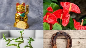 Od wieków ludzie wierzą, że pomocy we wprowadzaniu zmian można szukać w gwiazdach, talizmanach i amuletach.