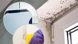 Nadmierna wilgoć w pomieszczeniach prowadzi do powstawania grzyba i pleśni. Jak z tym walczyć?