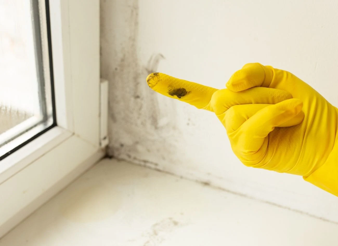 Jak pozbyć się grzyba, jeśli zdążył już zaatakować ściany lub sufit