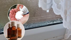 Sposoby na zaparowane okna w zimie. Przy wielkim gotowaniu szyby będą przezroczyste