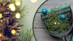 Czy wiesz, że choinkowe igły mają wiele praktycznych zastosowań?