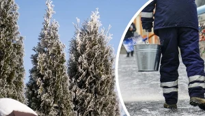 Sól drogowa jest bardzo często wykorzystywana w okresie zimowym. Fot.123RF/Beata Zawrzel/EastNews