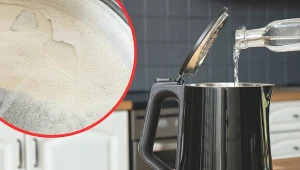 Aby skutecznie poradzić sobie z kamieniem w czajniku, wystarczy zastosować sprawdzone domowe środki.