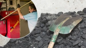 Ekogroszek niszczy piece. Jak rozpoznać dobry ekogroszek? Fot.123RF.com/Daniel Dmitriew/Forum