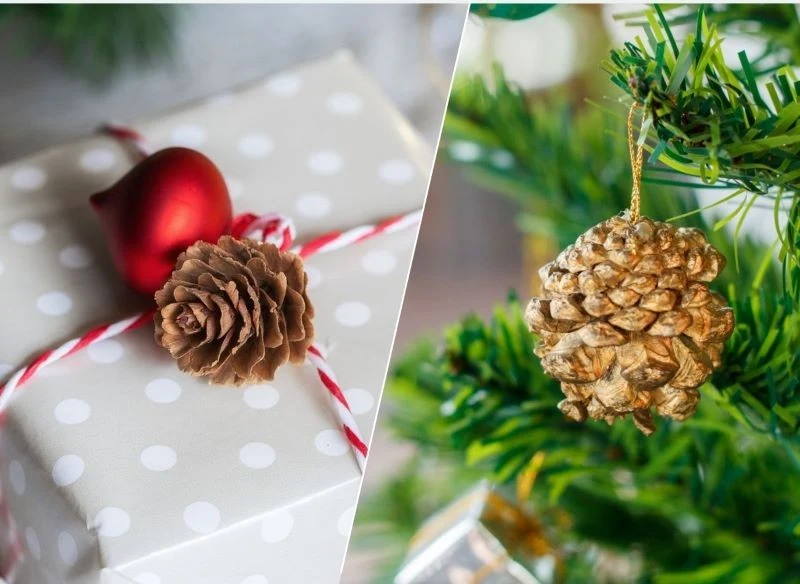 Szyszkami można udekorować choinkę lub zapakowane prezenty