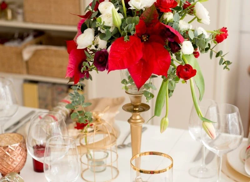 Gwiazda betlejemska wygląda zjawiskowo wśród innych kwiatów